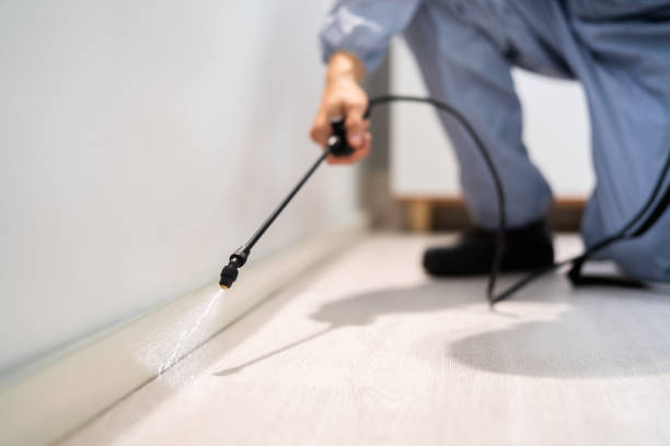 Bed Bug Pre-Treatment Preparation Assessment in Fruitdale