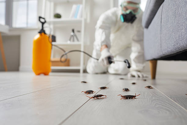 Post-Treatment Bed Bug Interceptor Monitoring in Fruitdale